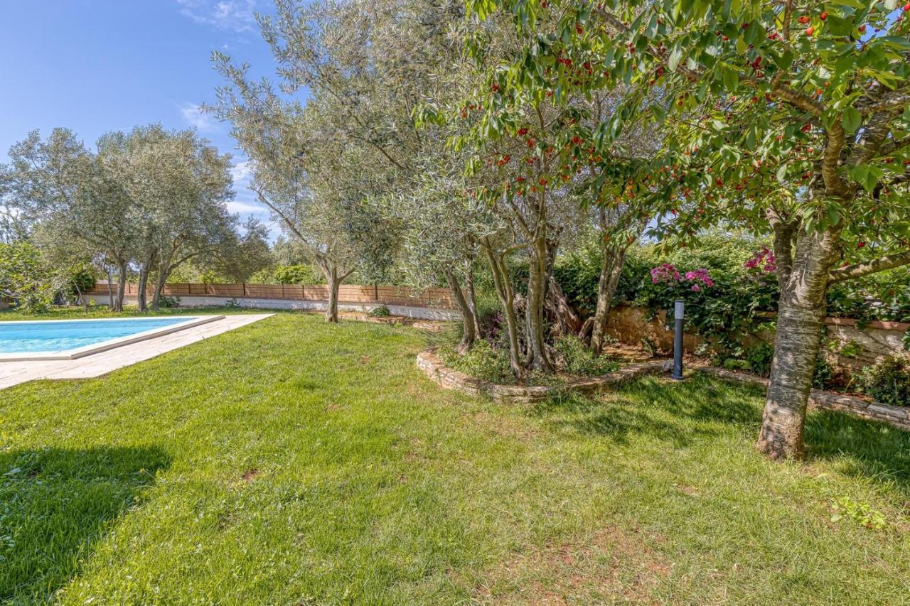 Villa Agatta With Private Pool Smoljanci Dış mekan fotoğraf